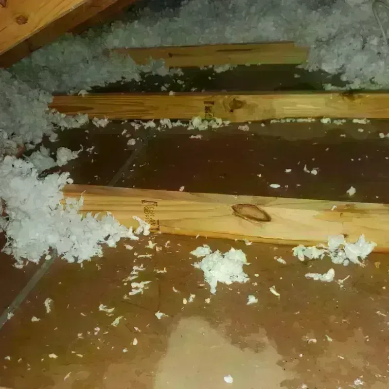 Attic Water Damage in Roby, TX