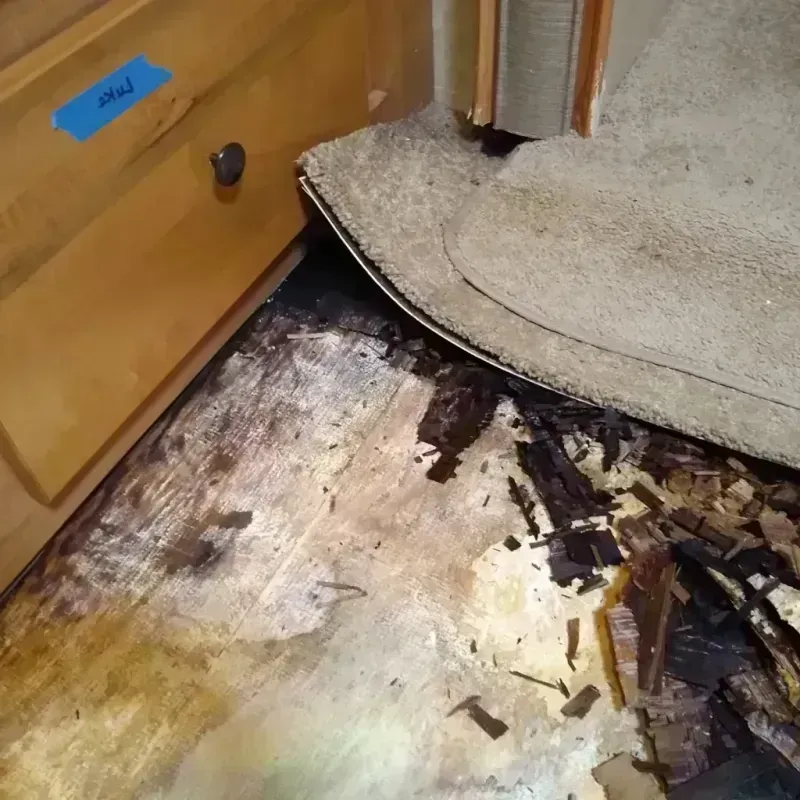 Best Wood Floor Water Damage Service in Roby, TX